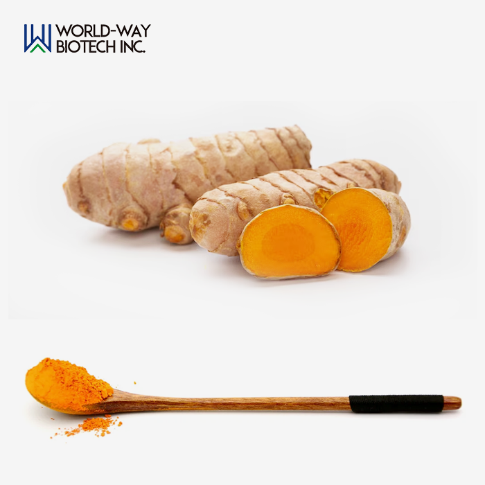 Turmeric Extract Powder